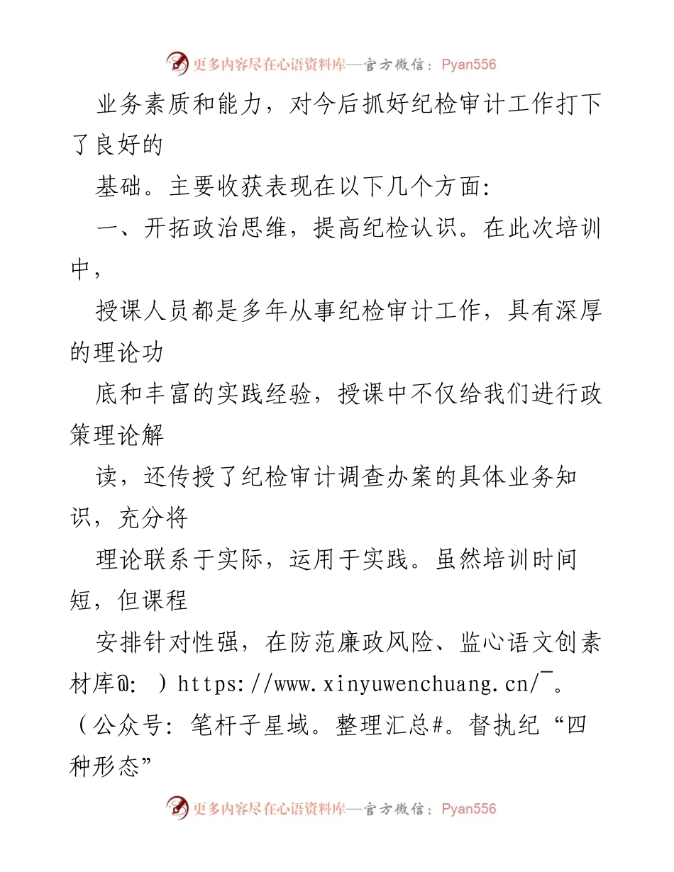 [心得体会] 培训 - 提升纪检审计能力的培训收获与思考.docx_第2页