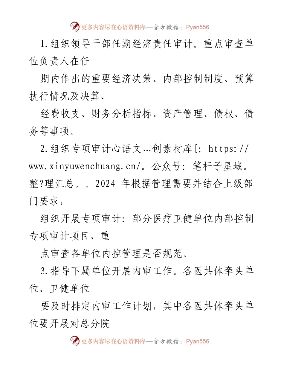 [工作计划] 卫健系统 - 2024年度内部审计工作计划.docx_第2页
