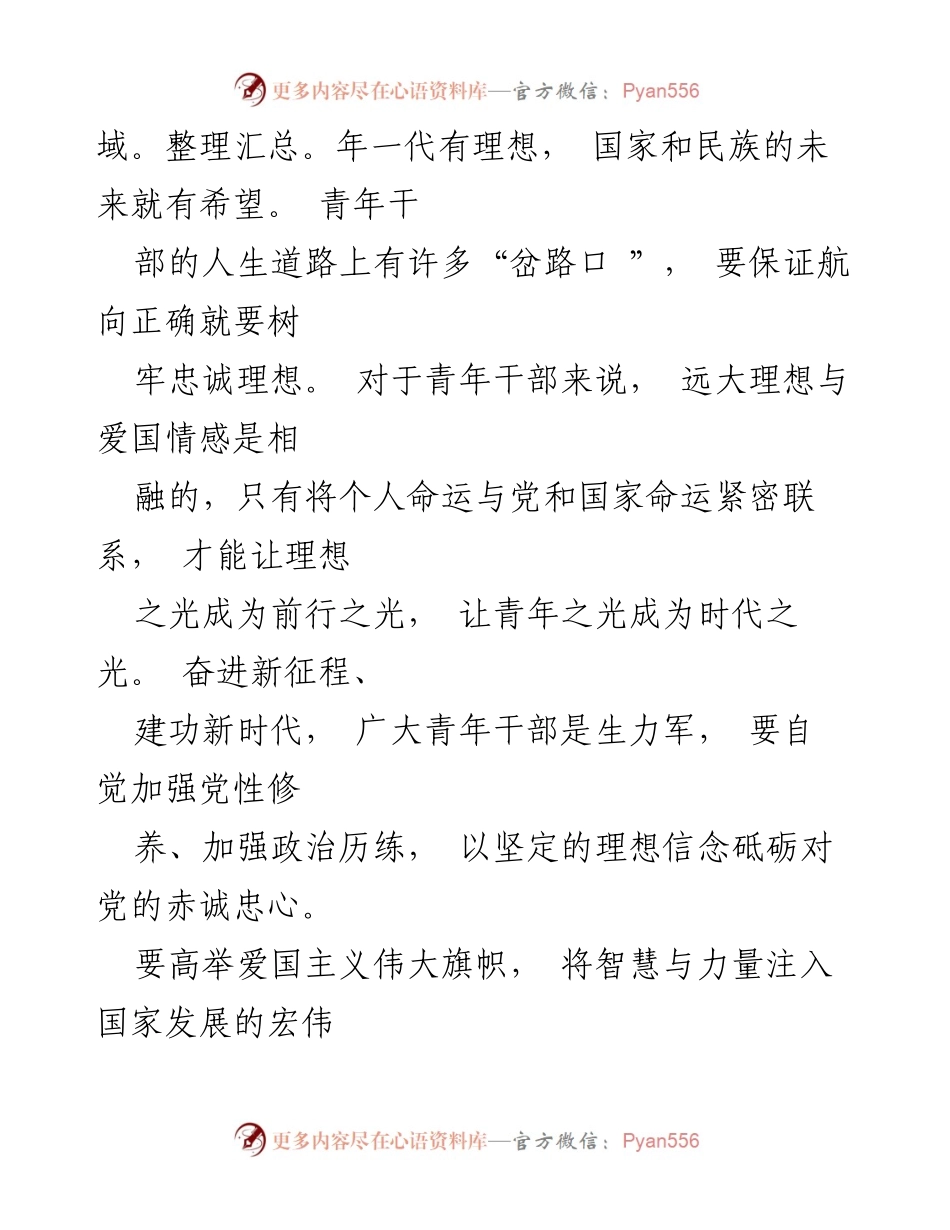 [心得体会] 观看二十大 - 青年干部如何让青春与二十大“撞个满怀”.docx_第2页