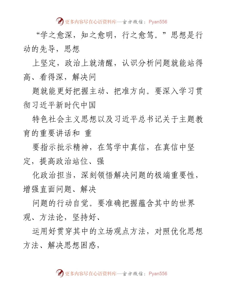 [心得体会] 主题教育整改整治工作推进会 - 深入学习贯彻主题教育整改整治精神，推动问题解决与成效转化.docx_第2页