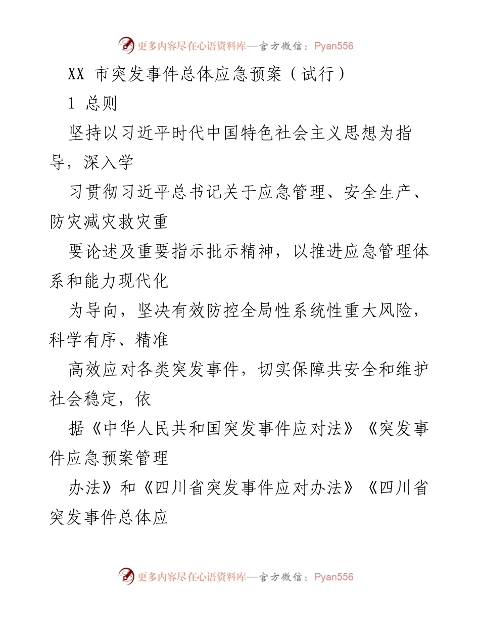 [应急预案] 应急管理 - XX市突发事件应急预案（试行）.docx_第1页