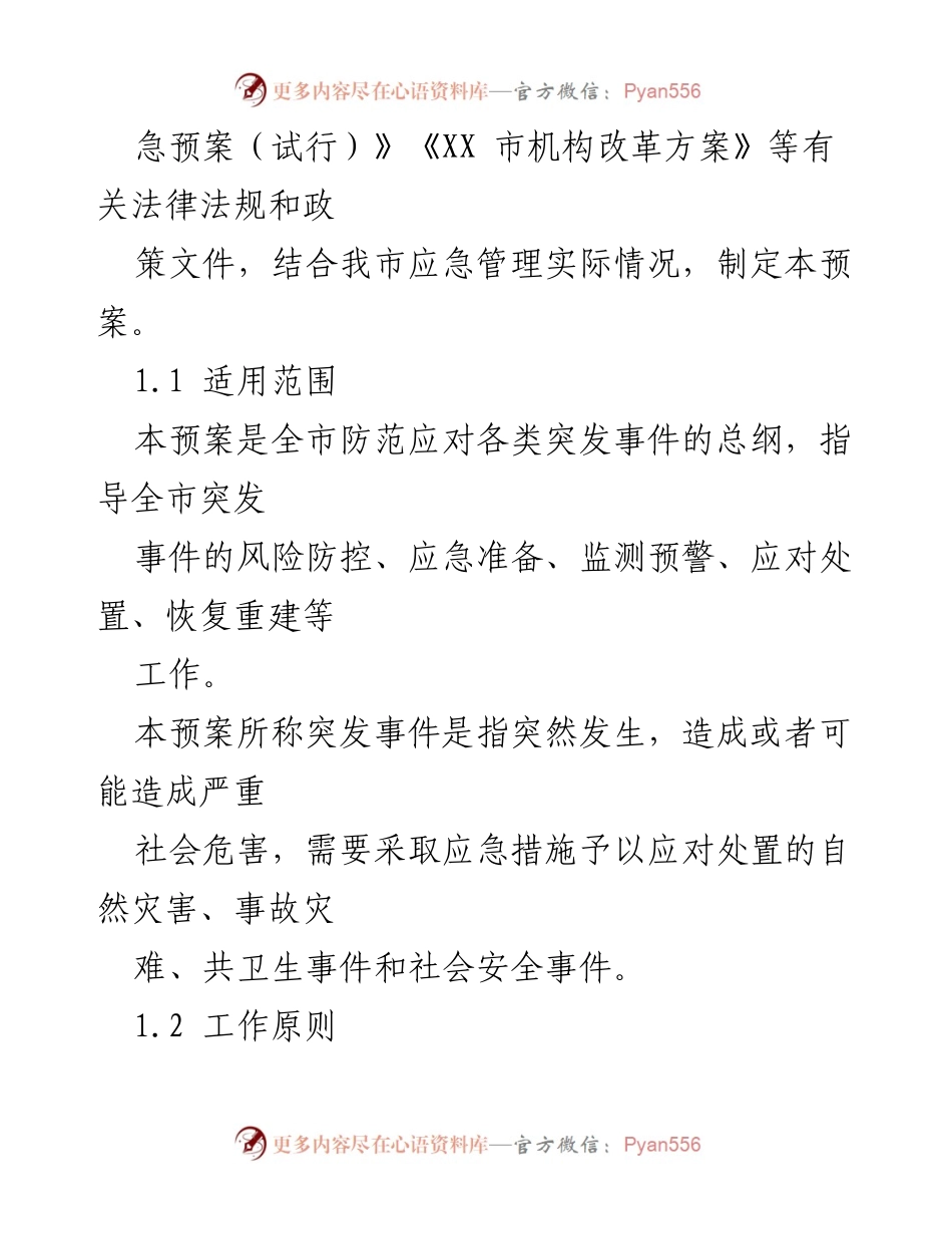 [应急预案] 应急管理 - XX市突发事件应急预案（试行）.docx_第2页