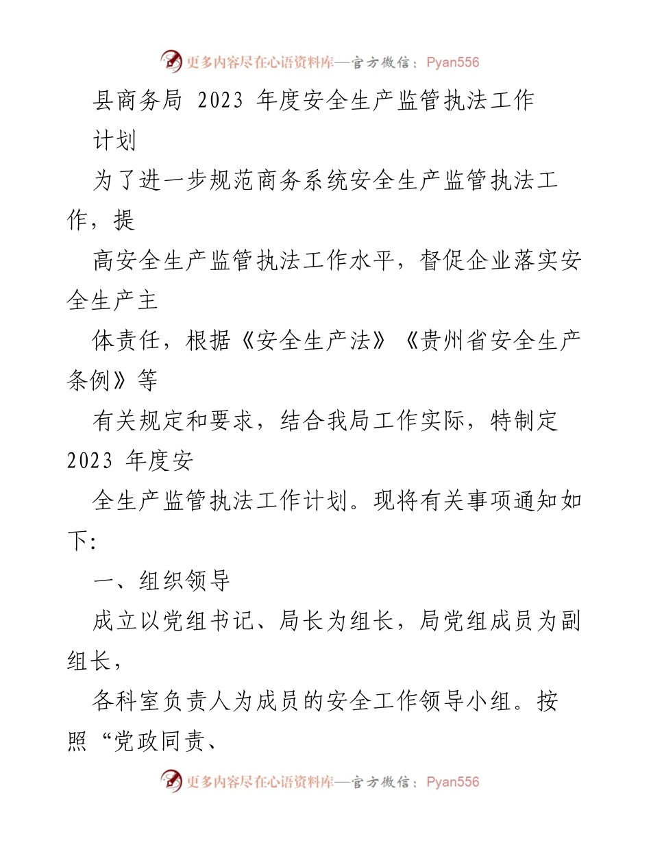 [工作计划] 商务局 - 2023年度安全生产监管执法工作计划.docx_第1页