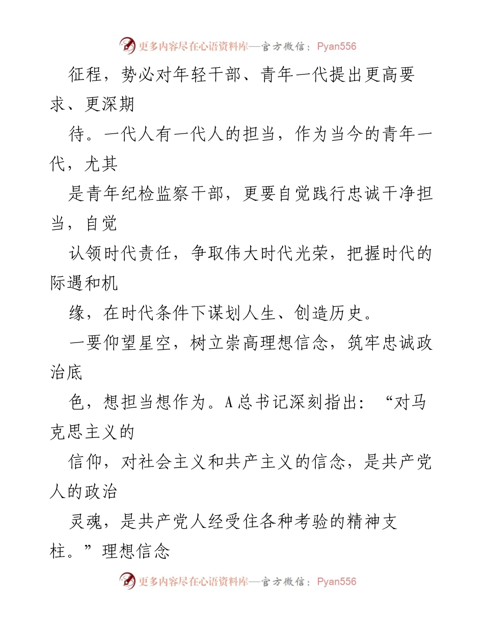 [座谈发言] 青年纪检监察干部座谈会 - 奋进新时代，做忠诚干净担当的青年纪检监察干部.docx_第2页