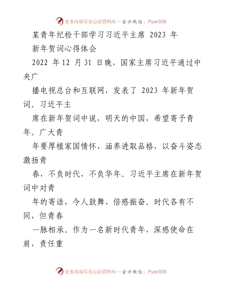 [心得体会] 学习活动 - 青年使命与奋斗：学习习近平主席2023年新年贺词的心得体会.docx_第1页