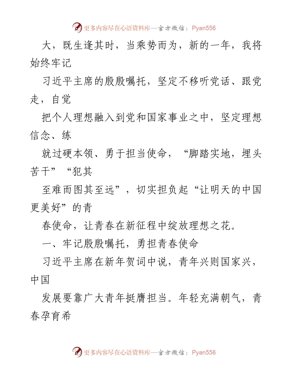[心得体会] 学习活动 - 青年使命与奋斗：学习习近平主席2023年新年贺词的心得体会.docx_第2页