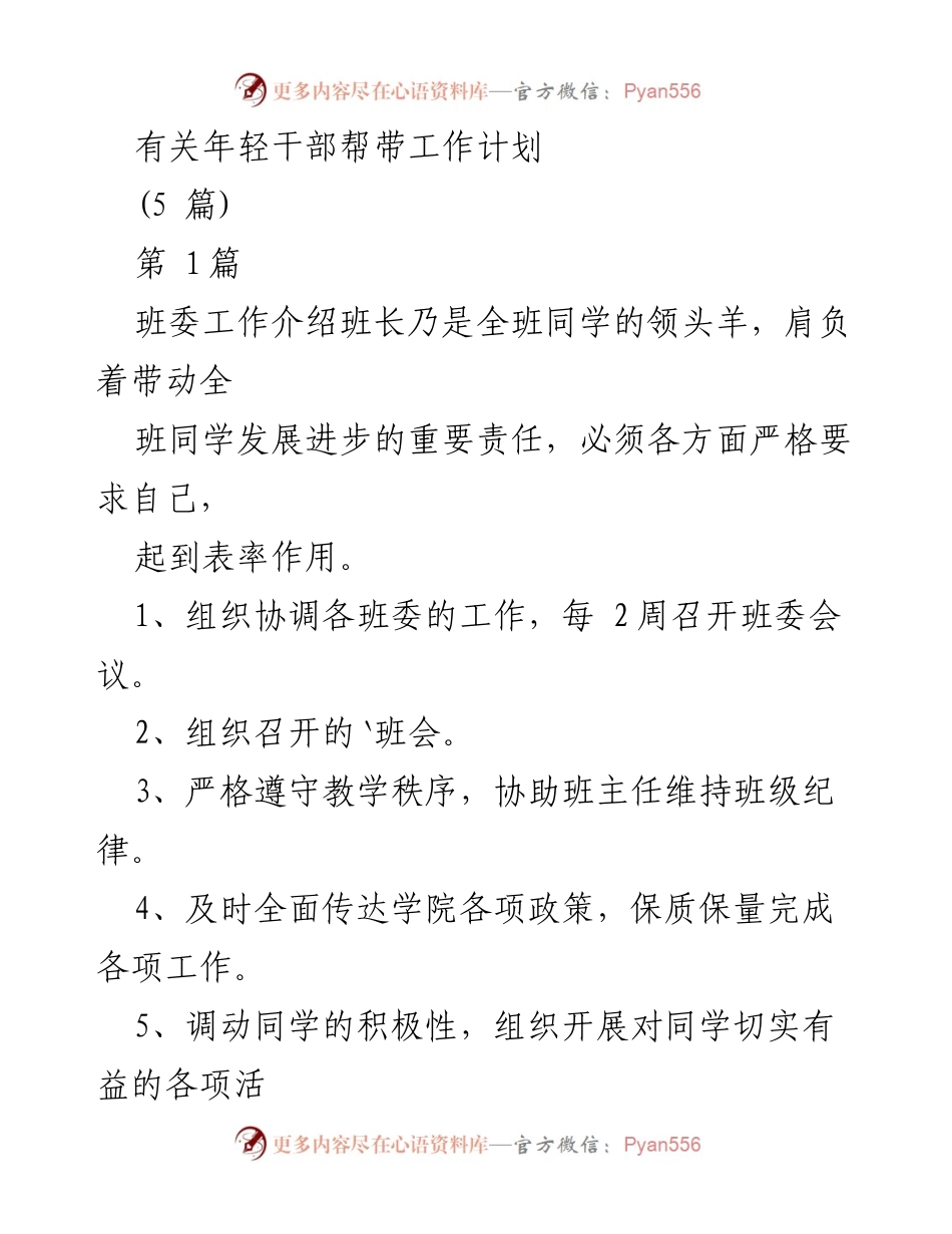 [工作计划] 年轻干部帮带 - 年轻干部帮带工作计划与班委职责概述.docx_第1页