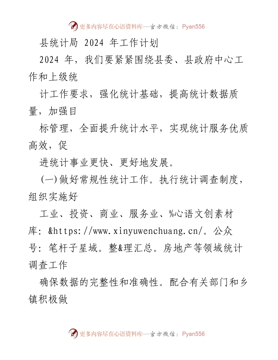 [工作计划] 统计局 - 2024年县统计局工作计划概述.docx_第1页