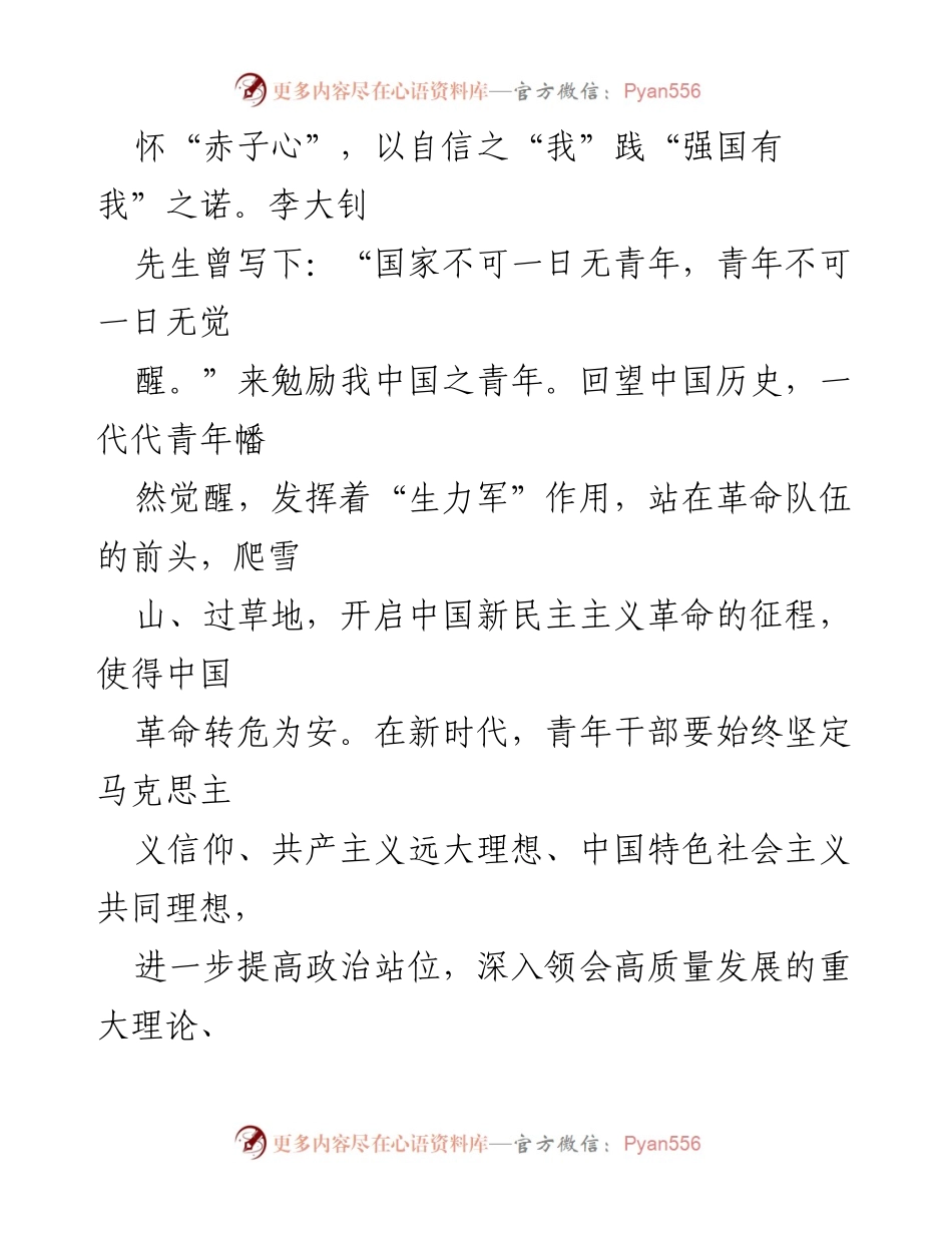 [心得体会] 青年干部学习活动 - 青年干部在中国式现代化进程中的使命与担当.docx_第2页