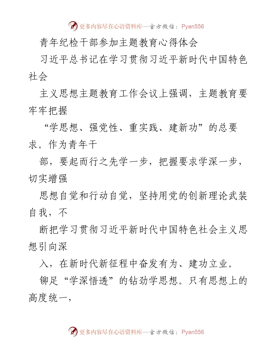 [心得体会] 主题教育 - 青年纪检干部的学习与实践心得.docx_第1页