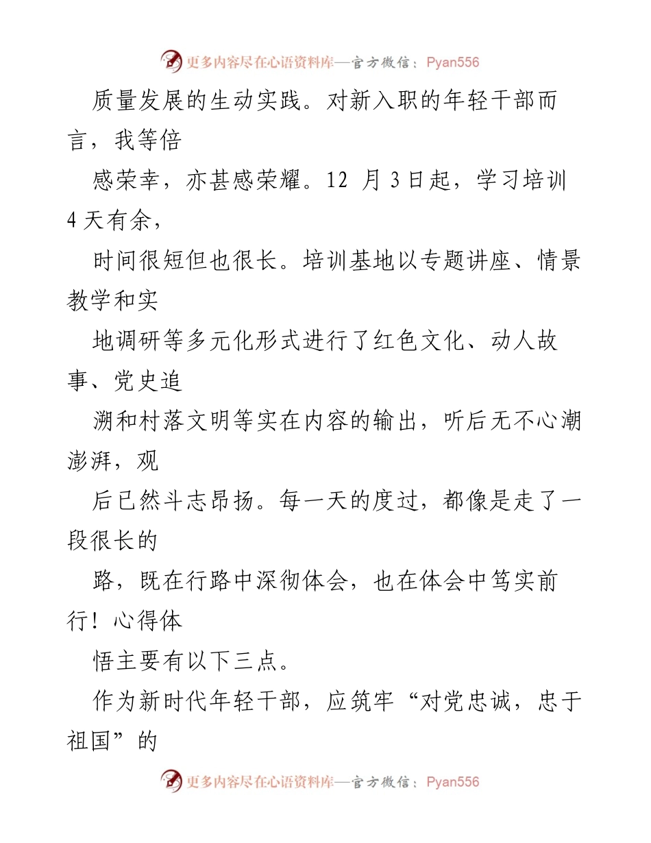 [心得体会] 培训班 - 新时代年轻干部培训心得体会.docx_第2页