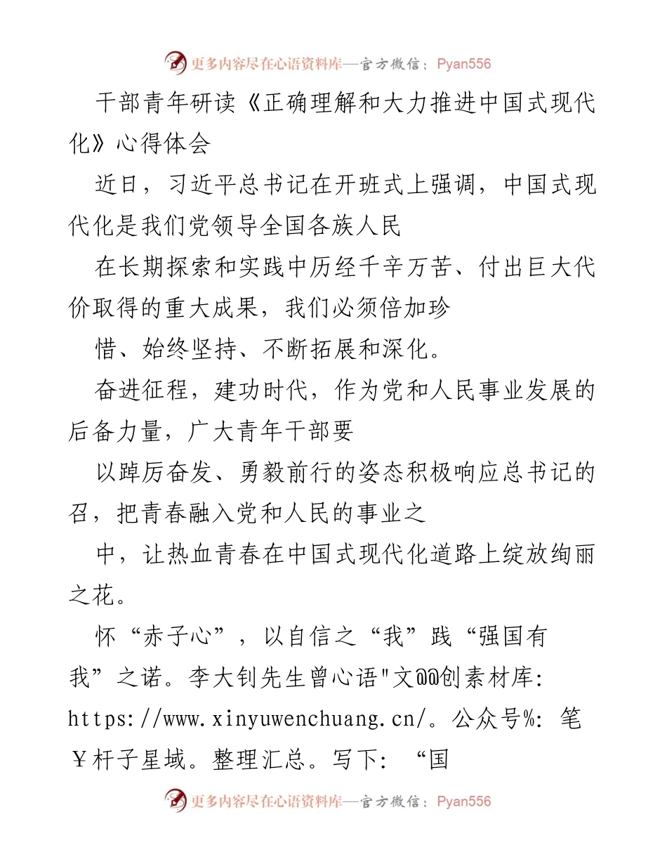 [心得体会] 青年干部培训 - 青年干部应如何践行中国式现代化.docx_第1页