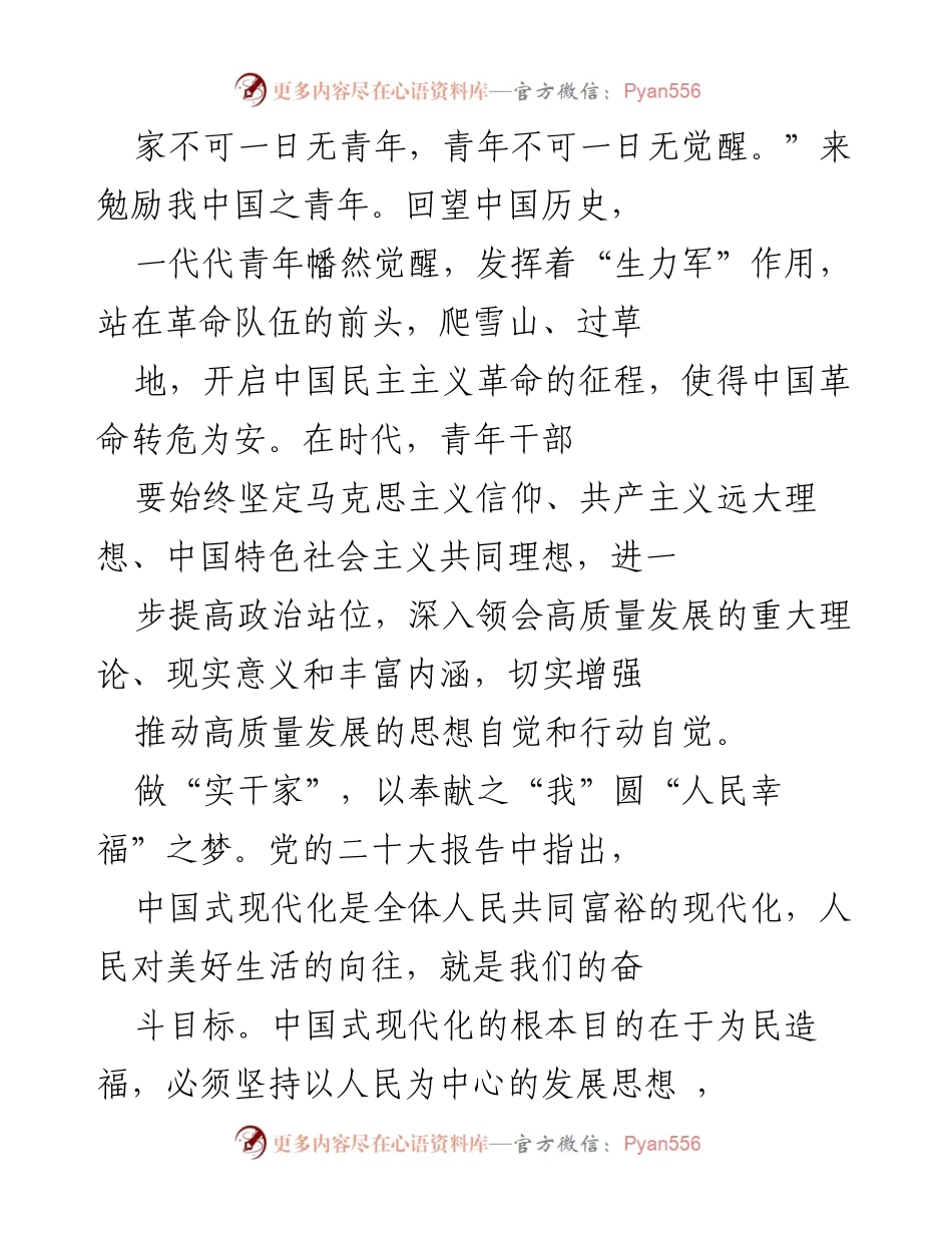 [心得体会] 青年干部培训 - 青年干部应如何践行中国式现代化.docx_第2页