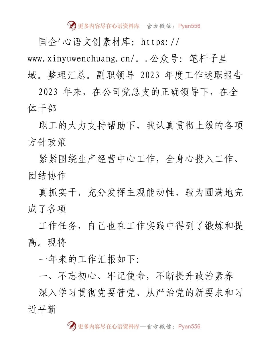 [工作述职报告] 国企年度总结 - 2023年度副职领导工作述职报告.docx_第1页