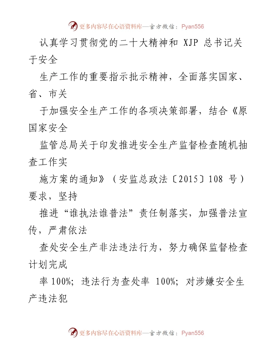 [工作计划] 市应急管理局 - 2023年度安全生产监督检查工作计划.docx_第2页