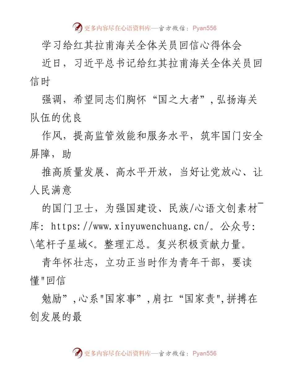 [心得体会] 红其拉甫海关 - 青年干部的使命与担当.docx_第1页