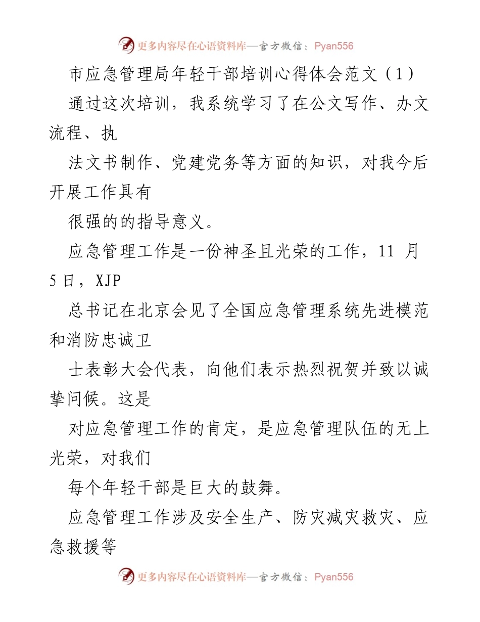 [心得体会] 培训 - 市应急管理局年轻干部培训心得体会总结.docx_第1页