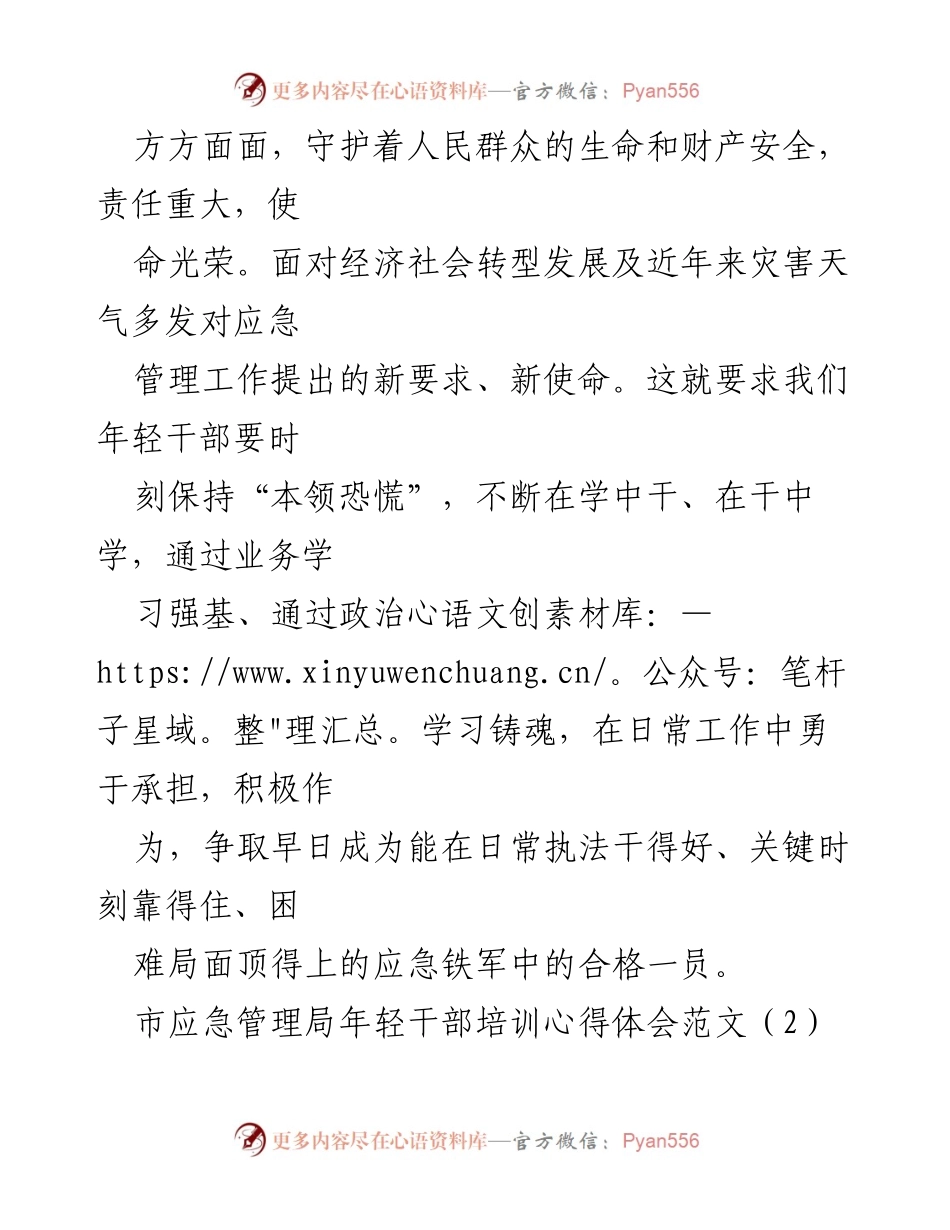 [心得体会] 培训 - 市应急管理局年轻干部培训心得体会总结.docx_第2页