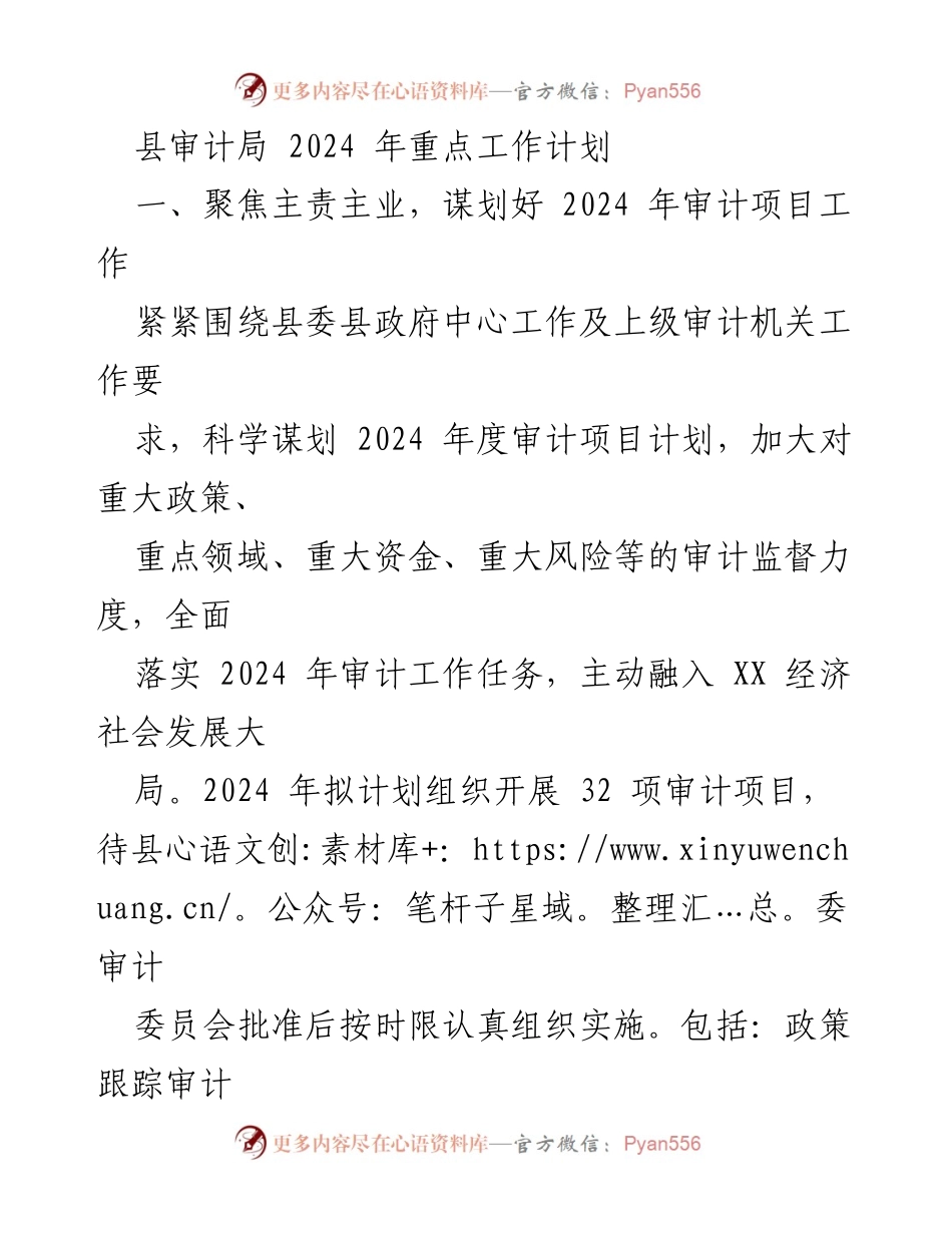 [工作计划] 县审计局 - 2024 年审计工作重点与项目计划.docx_第1页
