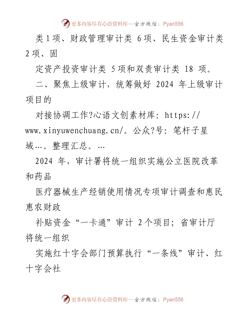 [工作计划] 县审计局 - 2024 年审计工作重点与项目计划.docx_第2页