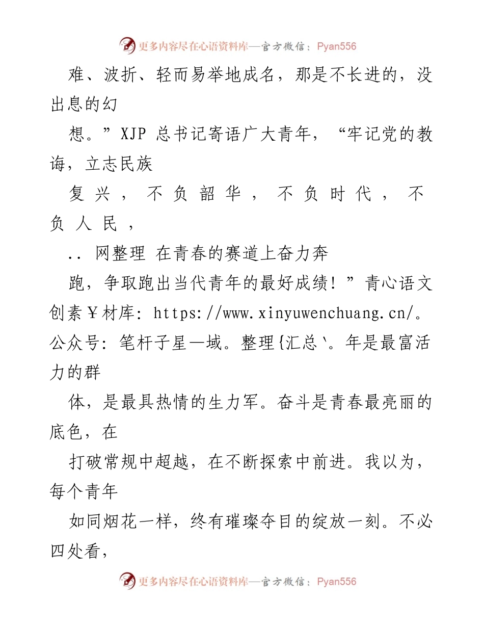 [心得体会] 青年节纪念活动 - 基层干部与青年使命的思考.docx_第2页