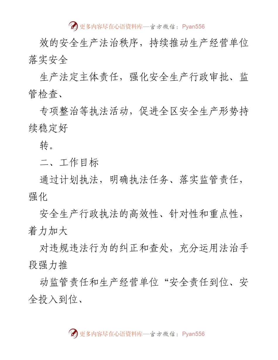 [工作计划] 应急管理局 - 2023年度安全监管执法工作计划.docx_第2页
