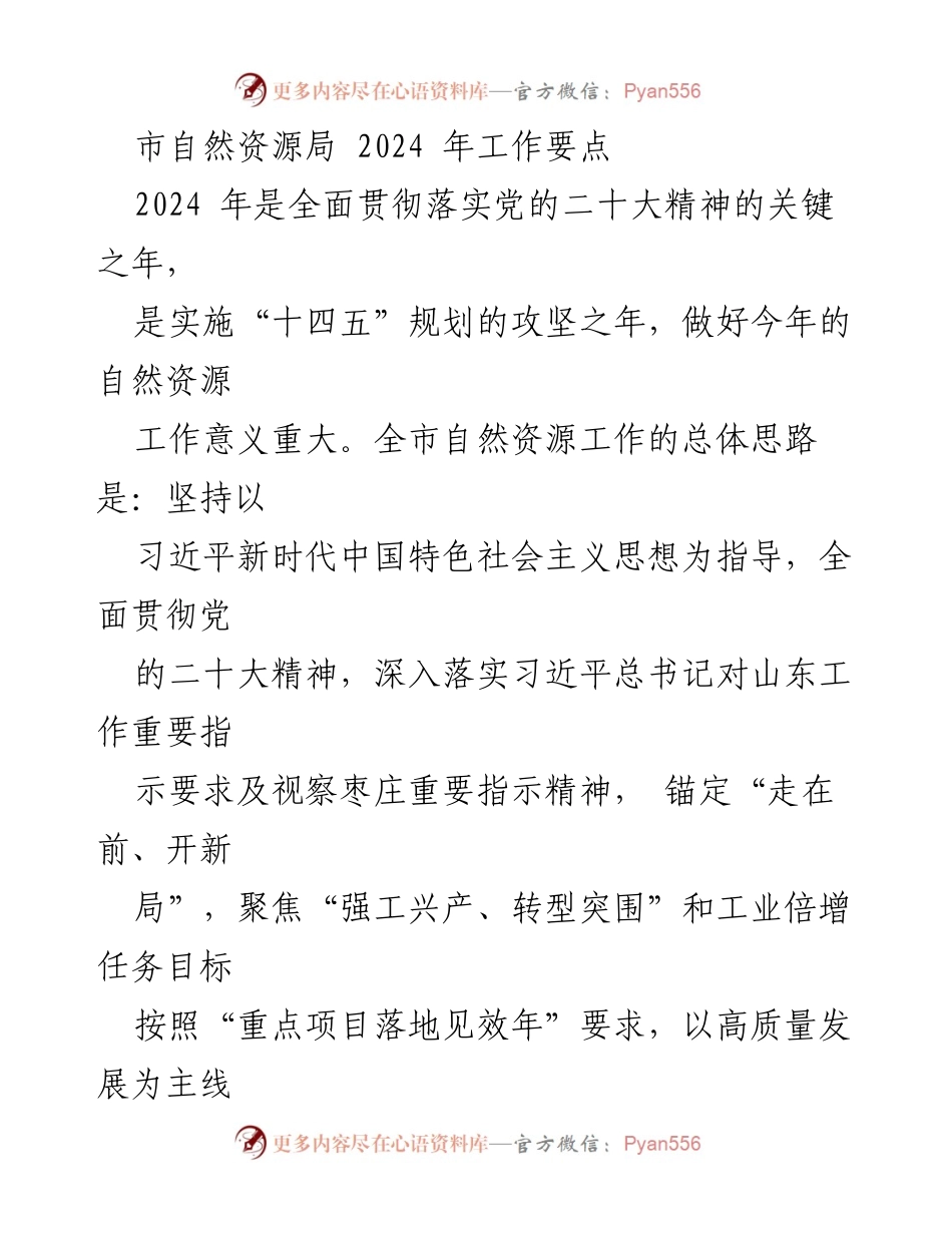 [工作要点] 自然资源局 - 2024年自然资源工作重点与目标.docx_第1页