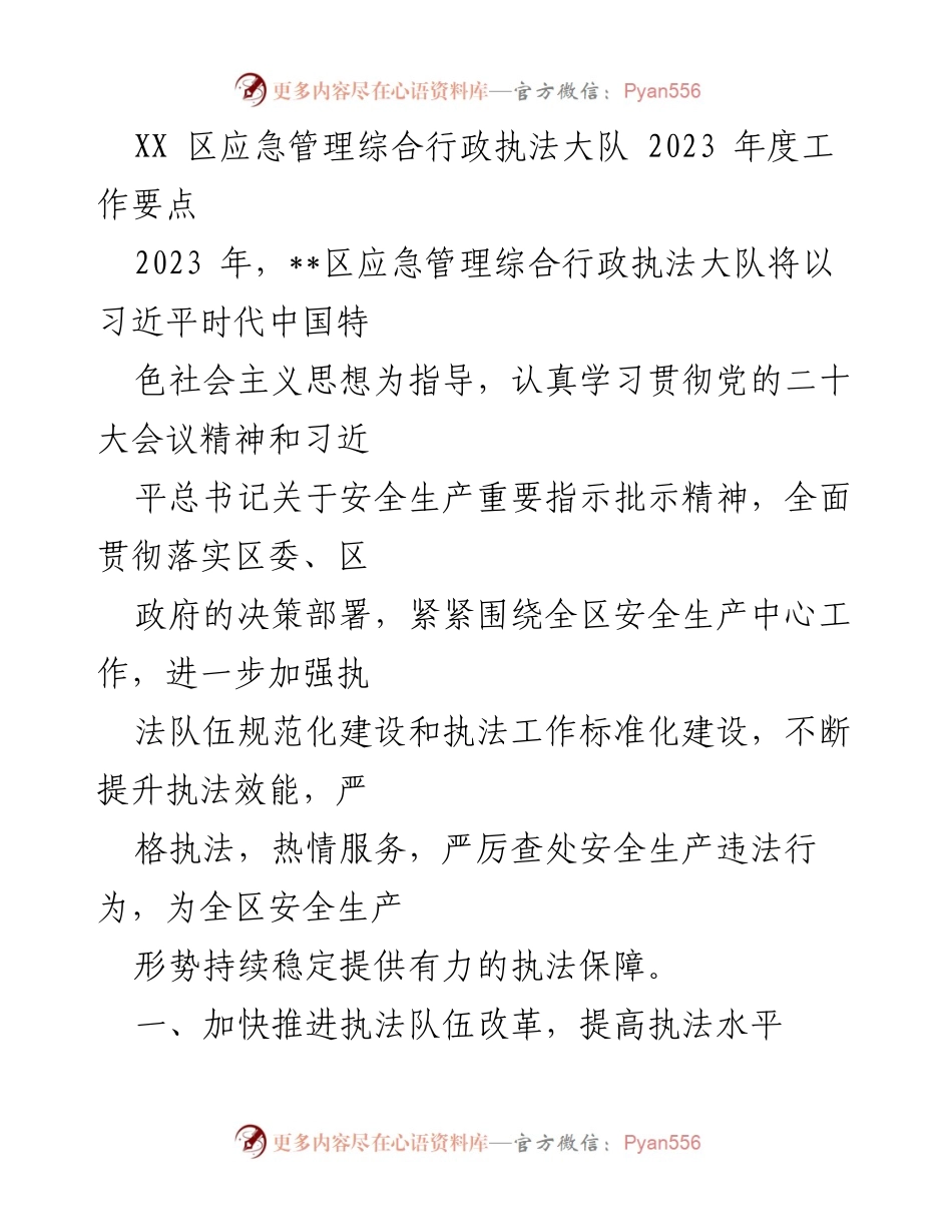 [工作要点] 应急管理 - 2023年度执法工作要点与改革措施.docx_第1页