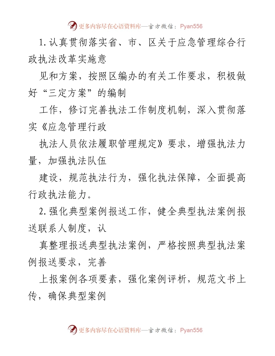 [工作要点] 应急管理 - 2023年度执法工作要点与改革措施.docx_第2页