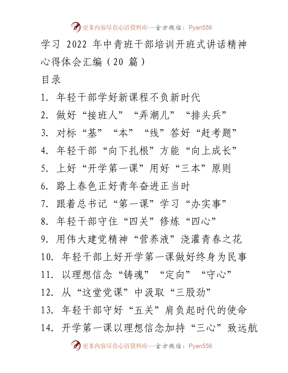 [心得体会] 培训班 - 年轻干部要坚定理想信念，做时代的先锋.docx_第1页