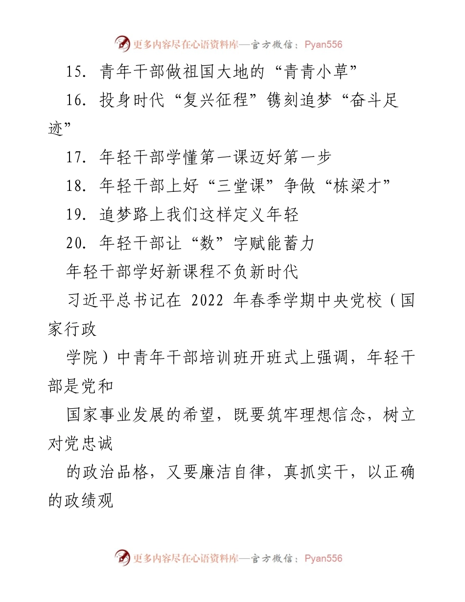 [心得体会] 培训班 - 年轻干部要坚定理想信念，做时代的先锋.docx_第2页