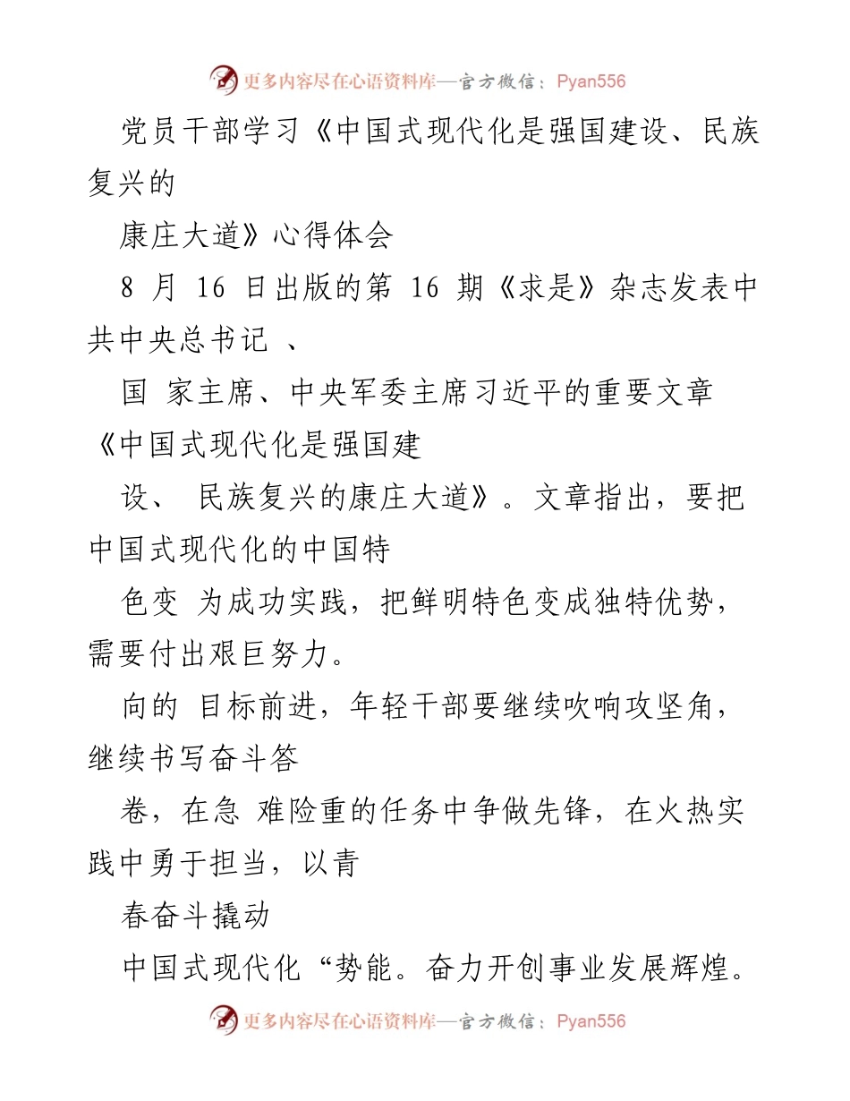 [心得体会] 党员干部学习 - 青年干部奋进中国式现代化的实践与担当.docx_第1页
