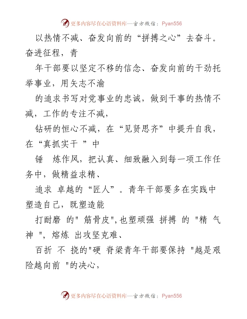 [心得体会] 党员干部学习 - 青年干部奋进中国式现代化的实践与担当.docx_第2页