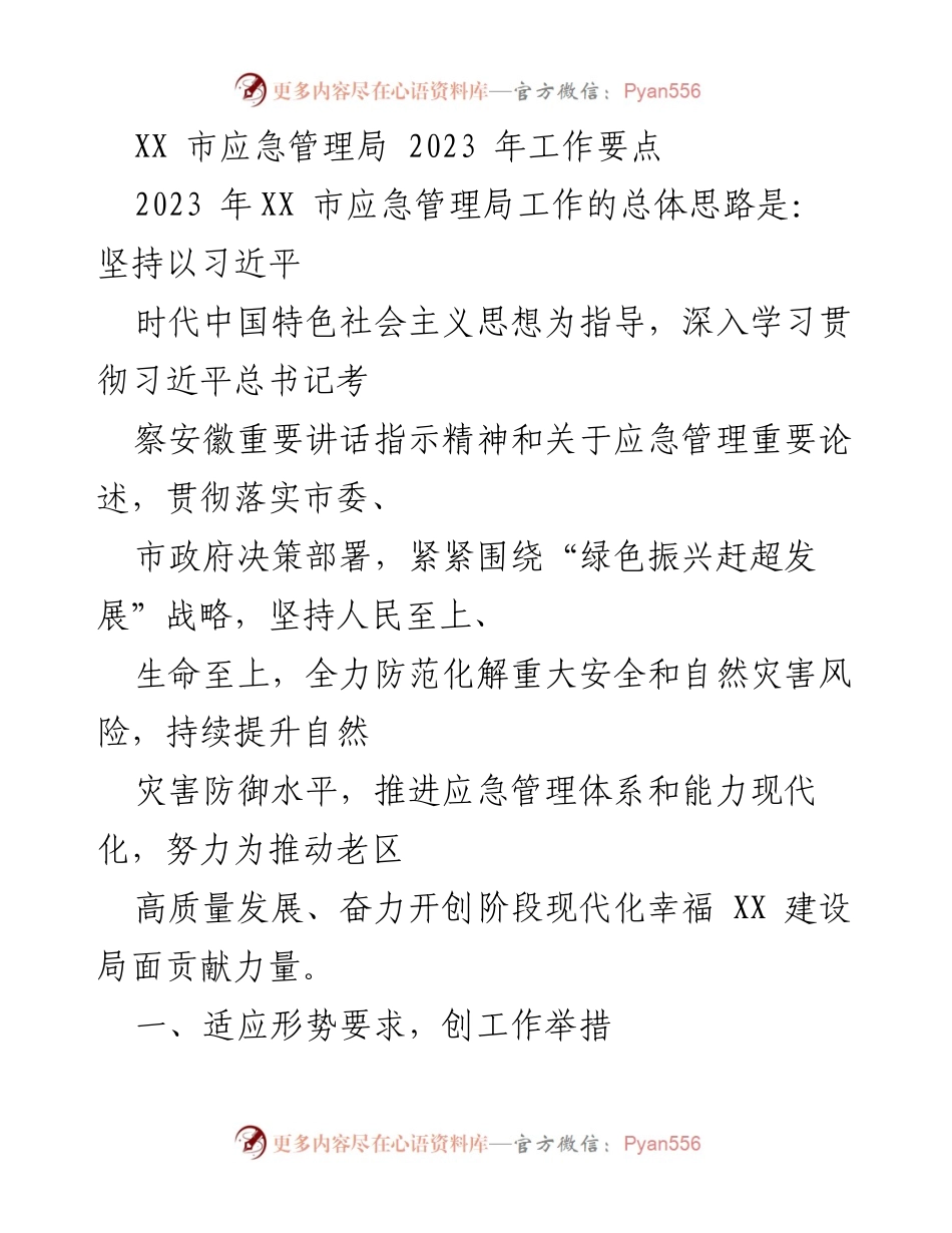 [工作要点] 应急管理局 - 2023 年 XX 市应急管理局工作要点总结.docx_第1页
