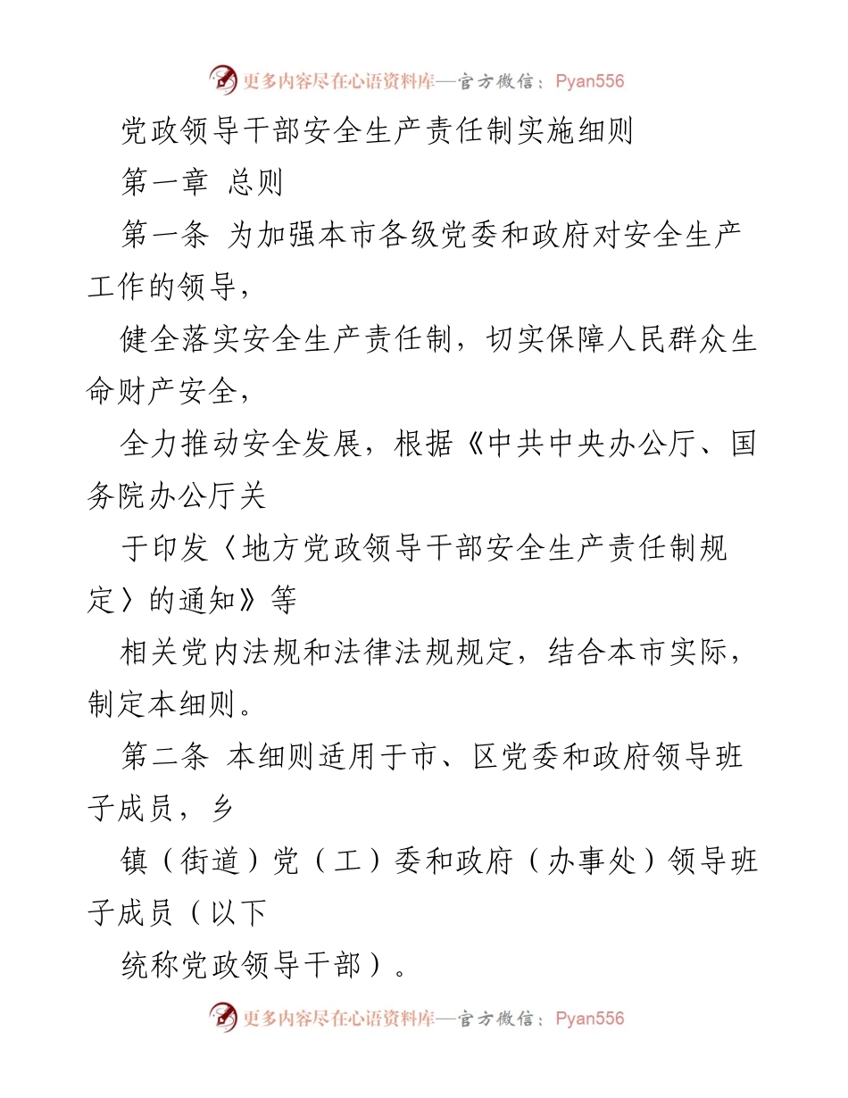 [工作规范] 安全生产 - 党政领导干部安全生产责任制实施细则.docx_第1页