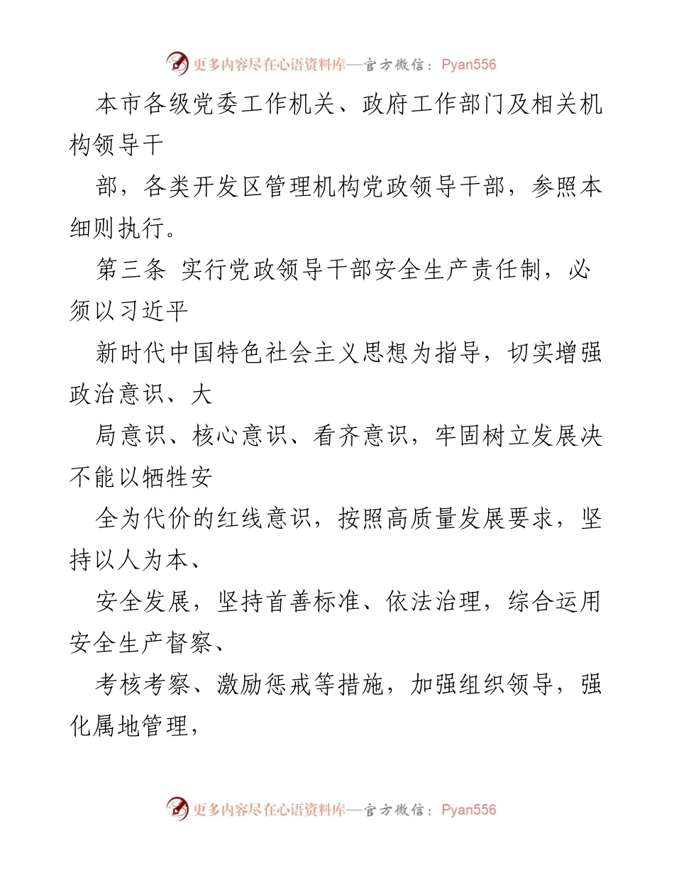 [工作规范] 安全生产 - 党政领导干部安全生产责任制实施细则.docx_第2页