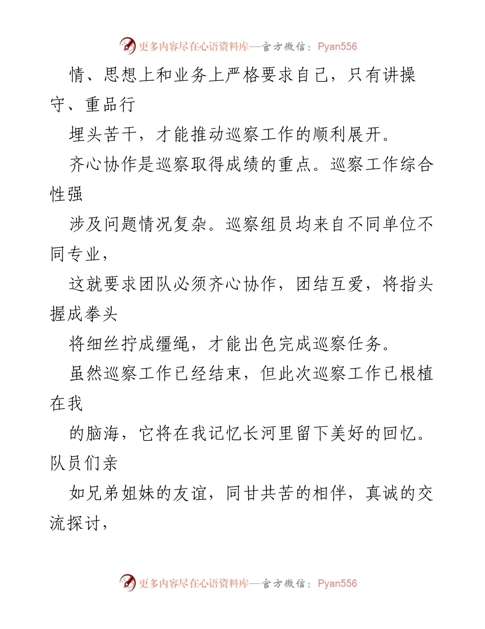 [心得体会] 巡察工作 - 巡察工作中的严肃性、严格性与协作性体会.docx_第2页
