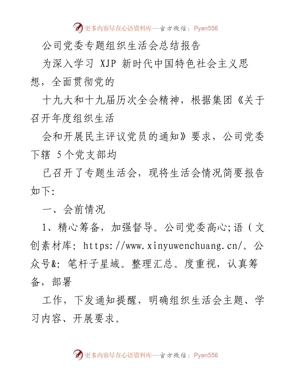 [总结报告] 公司党委 - 2023年度专题组织生活会总结与反思.docx_第1页