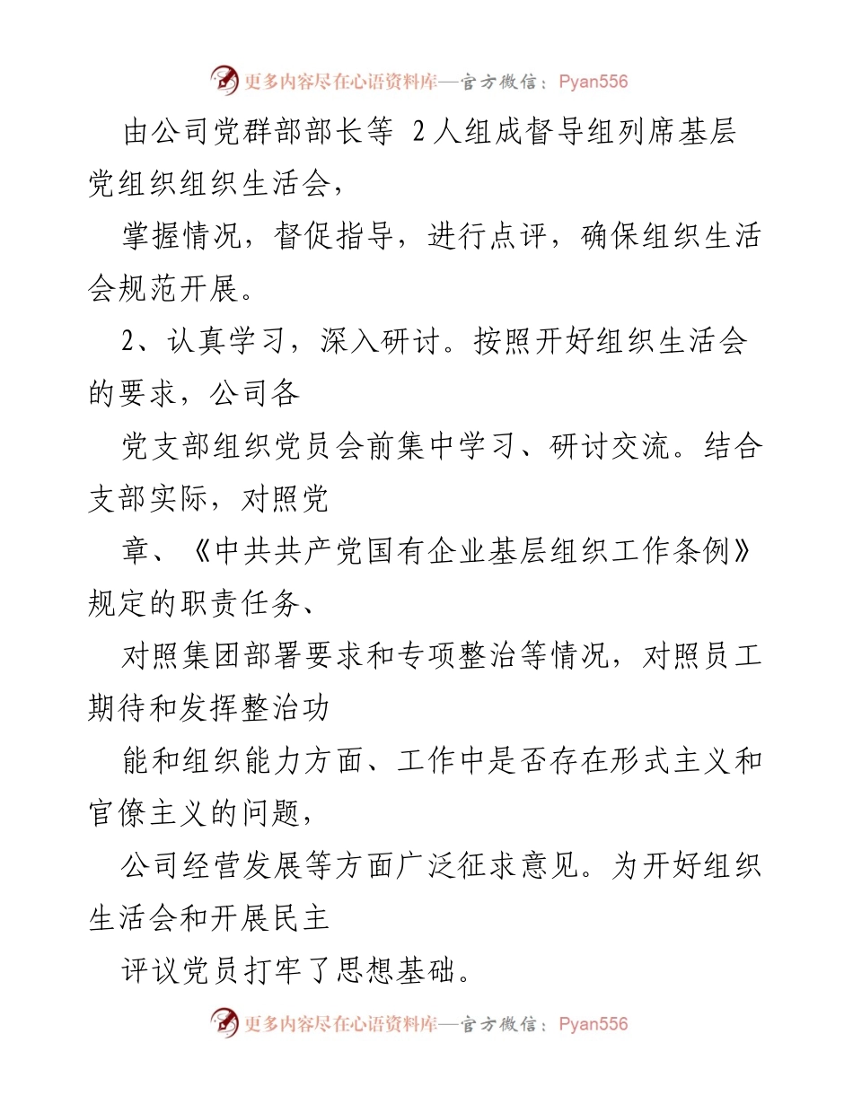 [总结报告] 公司党委 - 2023年度专题组织生活会总结与反思.docx_第2页