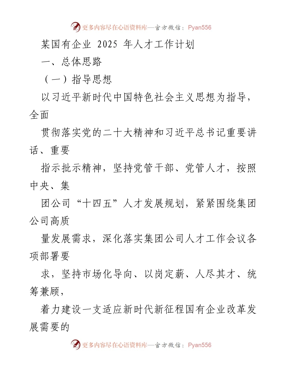 [工作计划] 国有企业 - 2025年人才工作计划概述.docx_第1页