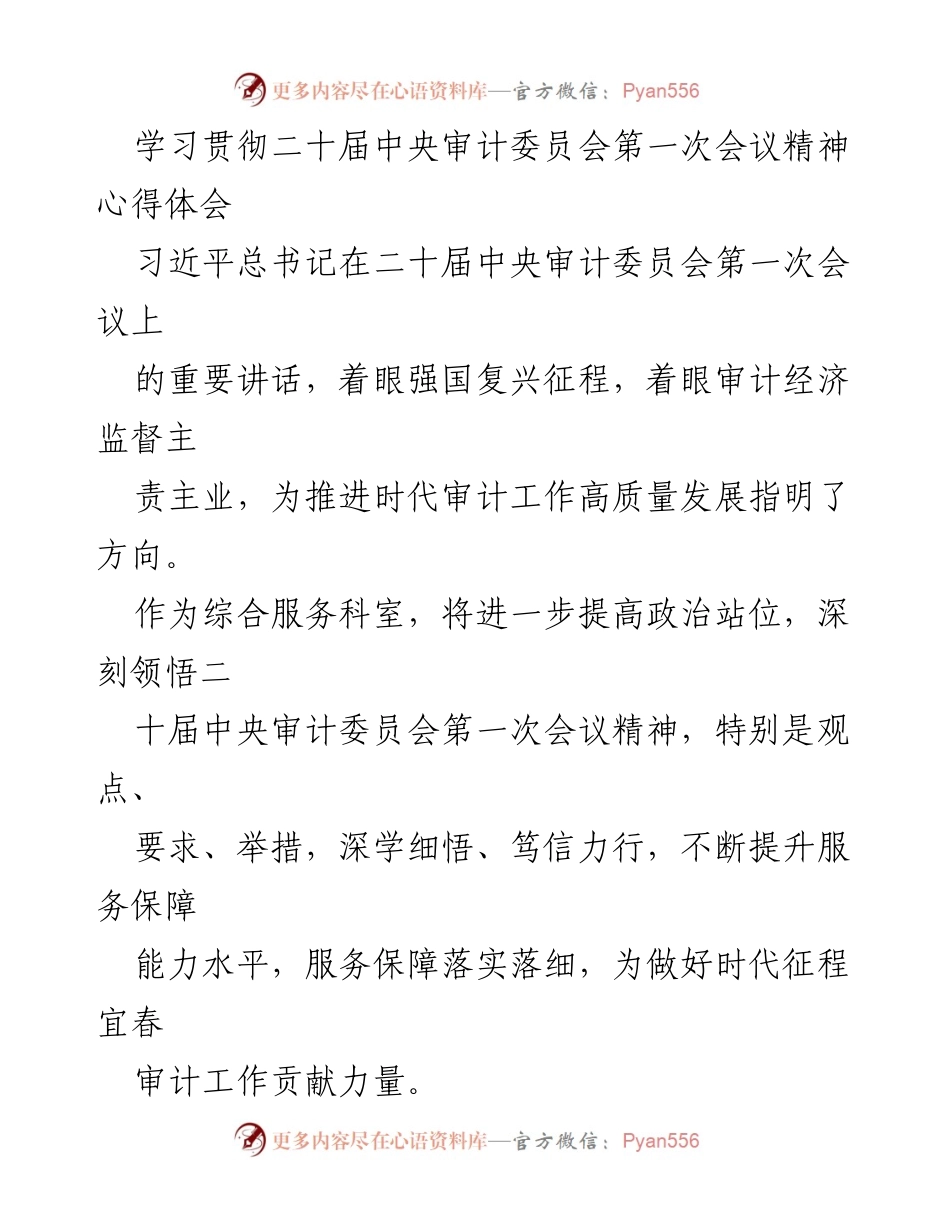 [心得体会] 二十届中央审计委员会第一次会议 - 深刻领悟审计工作新使命.docx_第1页
