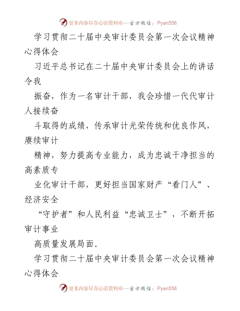 [心得体会] 二十届中央审计委员会第一次会议 - 深刻领悟审计工作新使命.docx_第2页