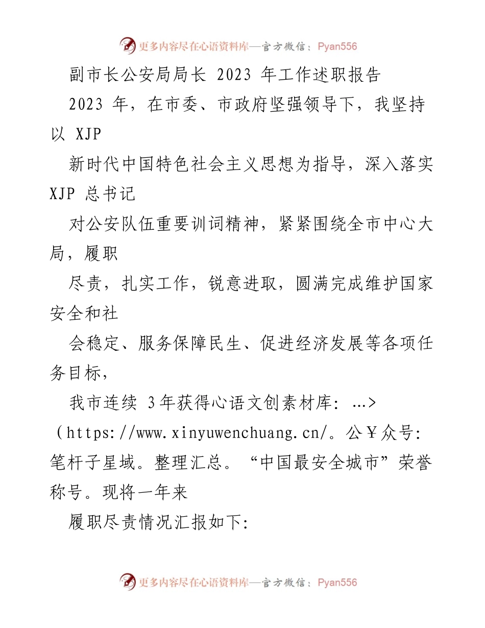 [工作述职报告] 2023年副市长公安局局长工作总结 - 2023年公安工作履职总结与成就.docx_第1页