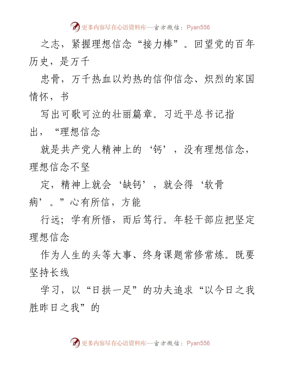 [心得体会] 青年干部培训班 - 坚定信仰，迈稳脚步：青年干部的使命与担当.docx_第2页