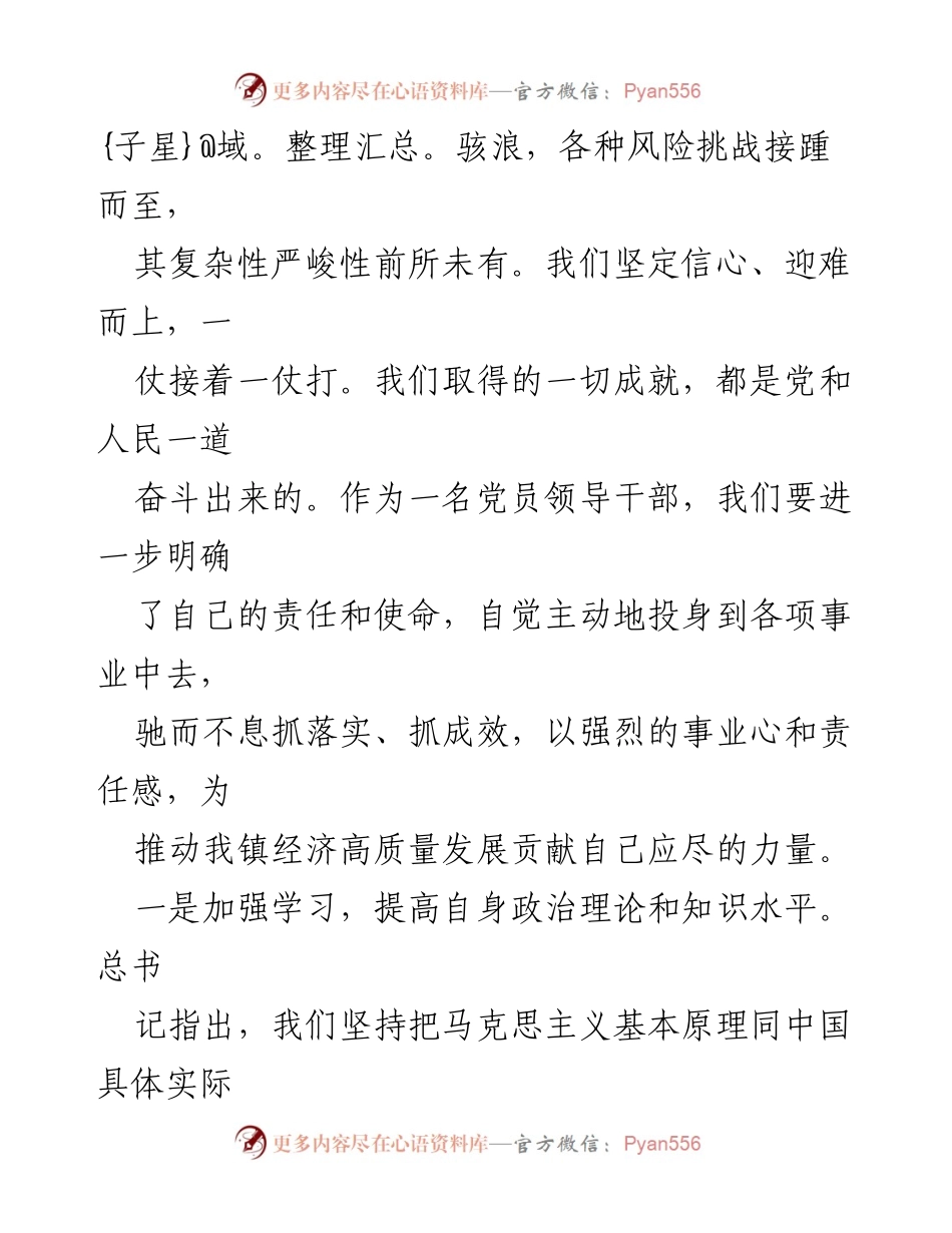 [心得体会] 研讨班 - 镇长学习总书记讲话精神的体会与实践措施.docx_第2页