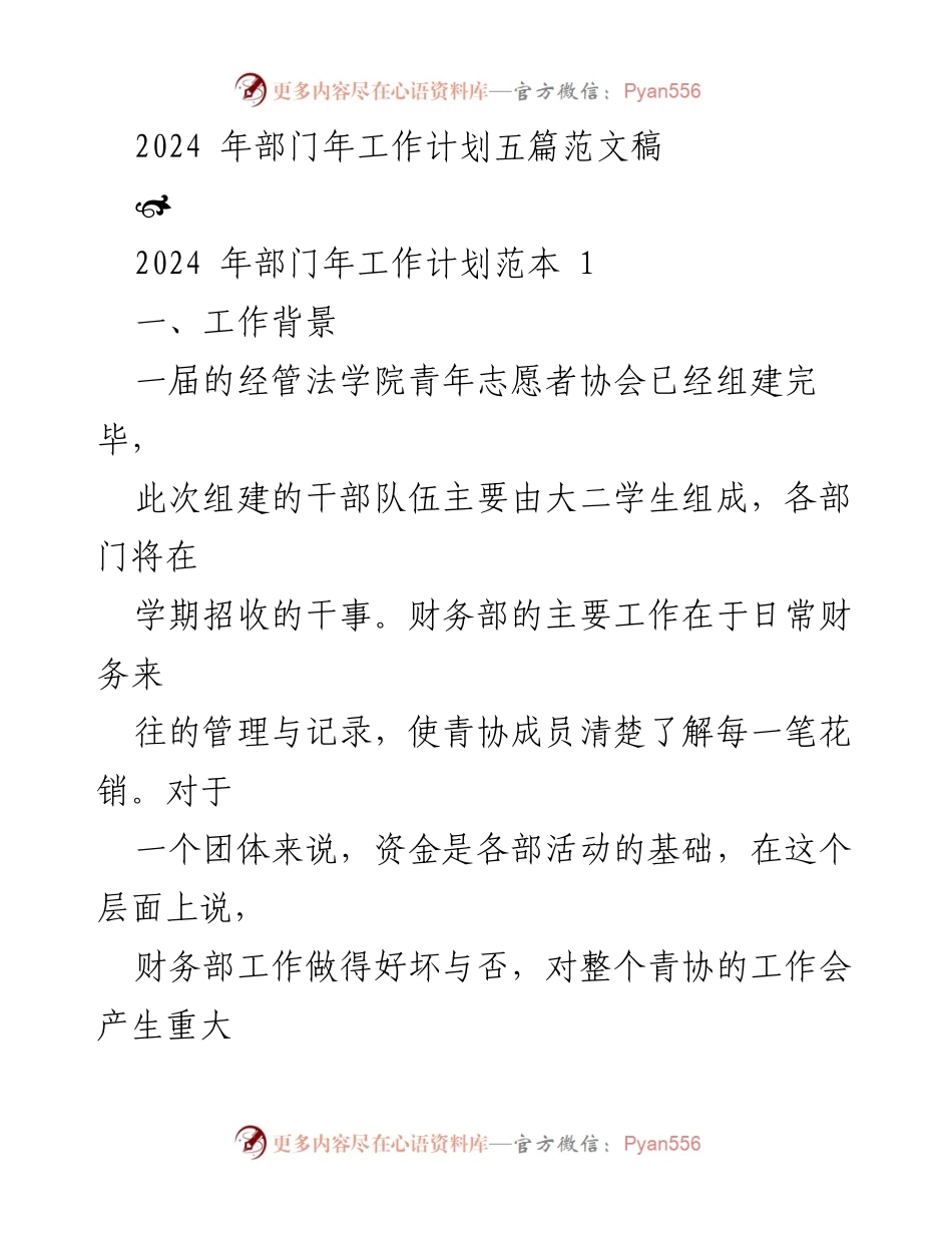 [工作计划] 青年志愿者协会 - 2024年财务部工作计划与建设方案.docx_第1页