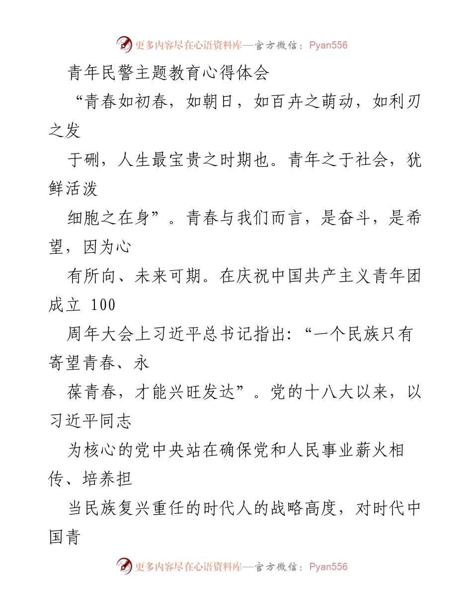 [心得体会] 青年民警主题教育 - 青春奋斗，勇担时代重任.docx_第1页