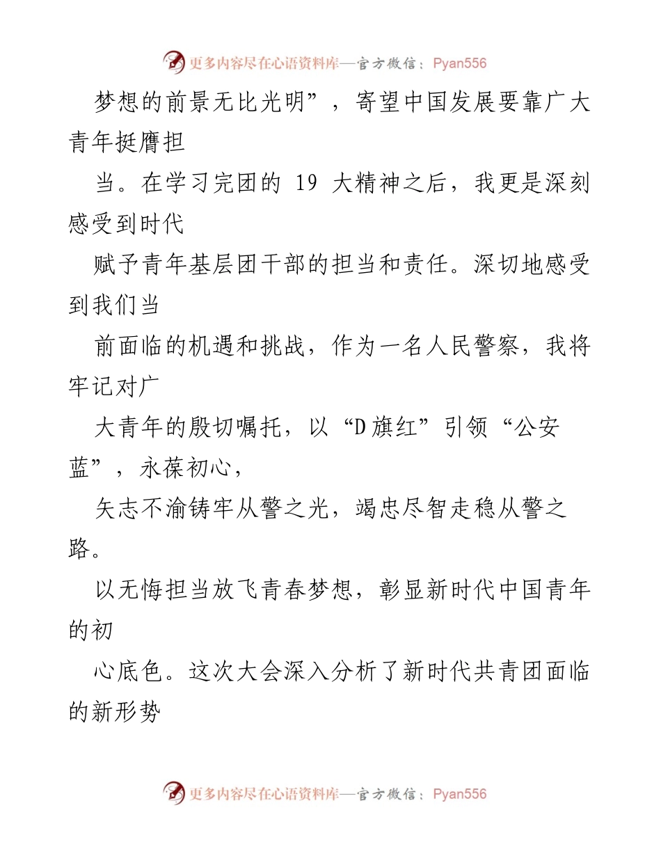 [心得体会] 青年团体大会 - 青春使命：共青团十九大心得体会.docx_第2页