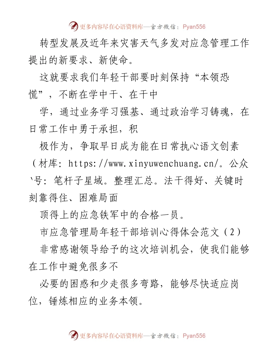 [心得体会] 培训 - 年轻干部应急管理培训的收获与感悟.docx_第2页