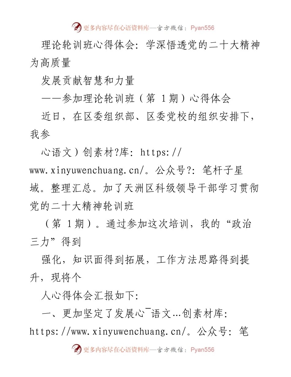 [心得体会] 理论轮训班 - 深入学习党的二十大精神，坚定发展信心与责任担当.docx_第1页